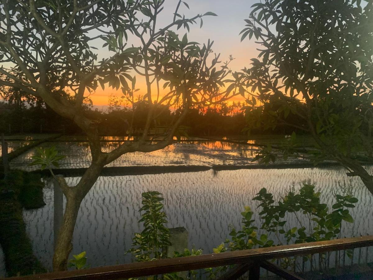 Hotel Lovina Vibes Balian